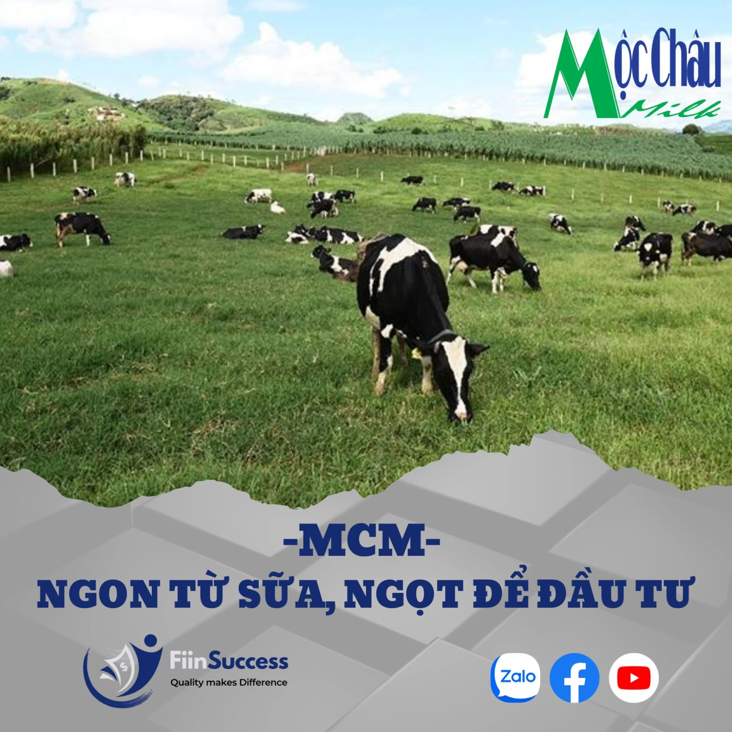 MCM – Không chỉ ngon từ sữa, mà rất ngọt để đầu tư