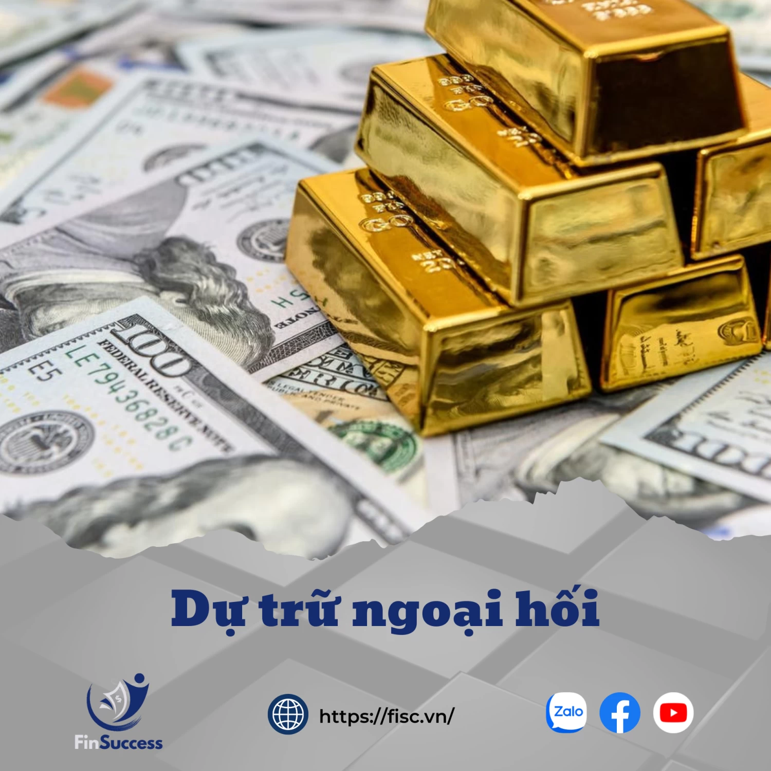 Bài 1.16: Dự trữ ngoại hối là gì?