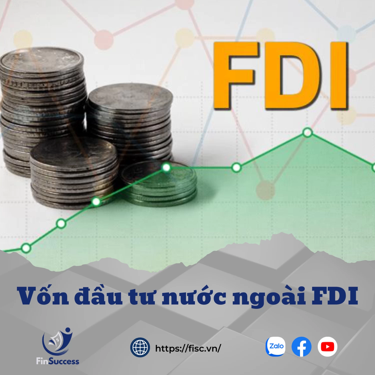 Bài 1.17: Vốn đầu tư trực tiếp nước ngoài FDI