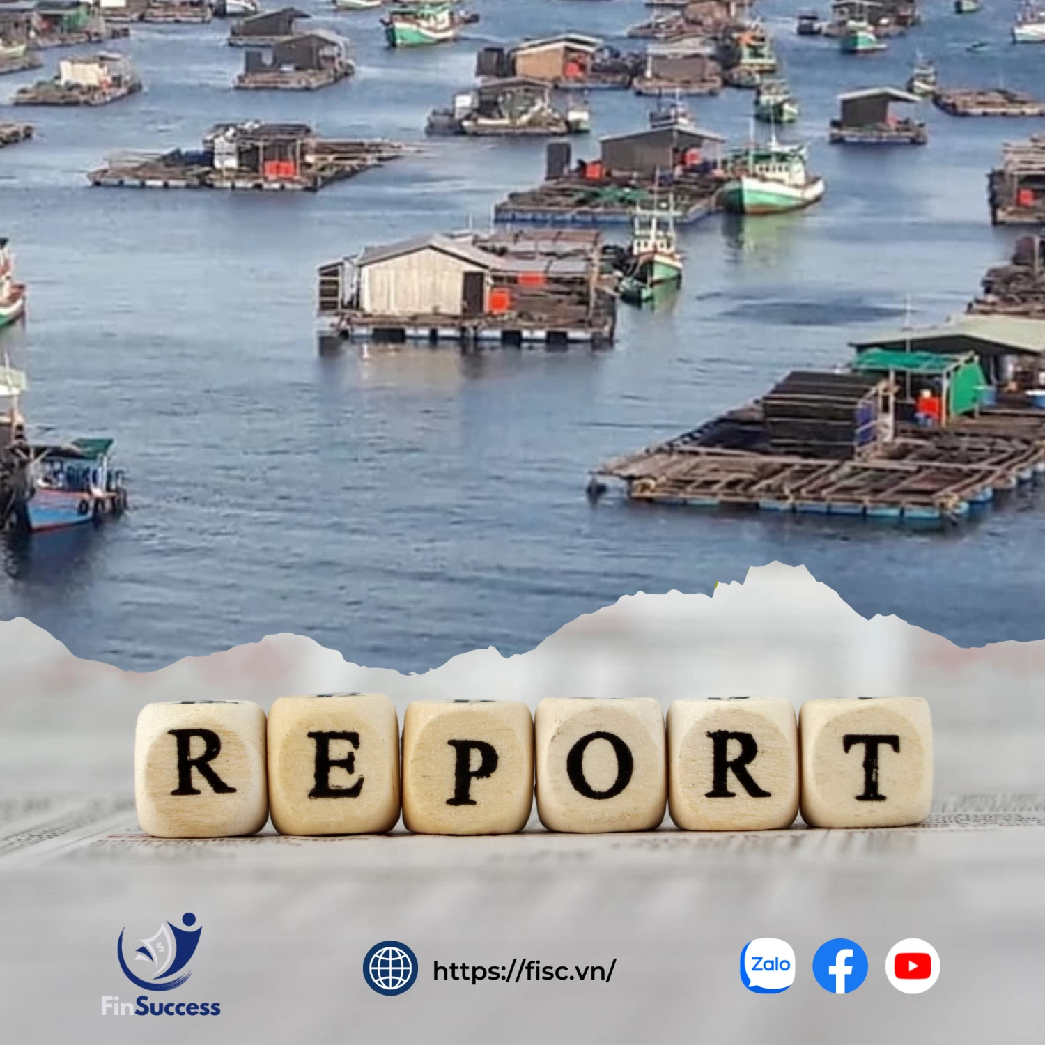 Báo cáo ngành thủy sản (VNDirect): Nhu cầu yếu cản trở sự phục hồi