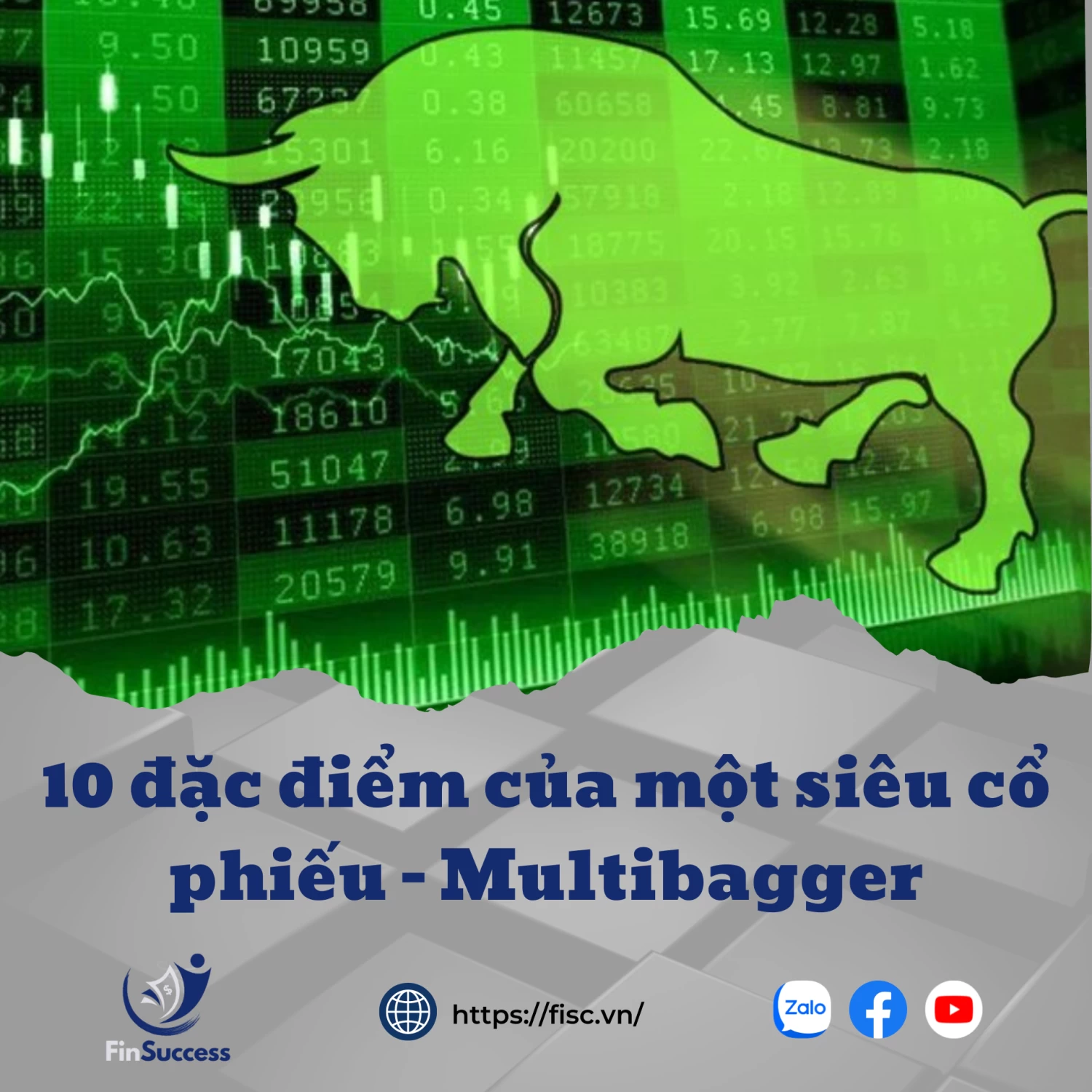 10 đặc điểm của một siêu cổ phiếu - Multibagger