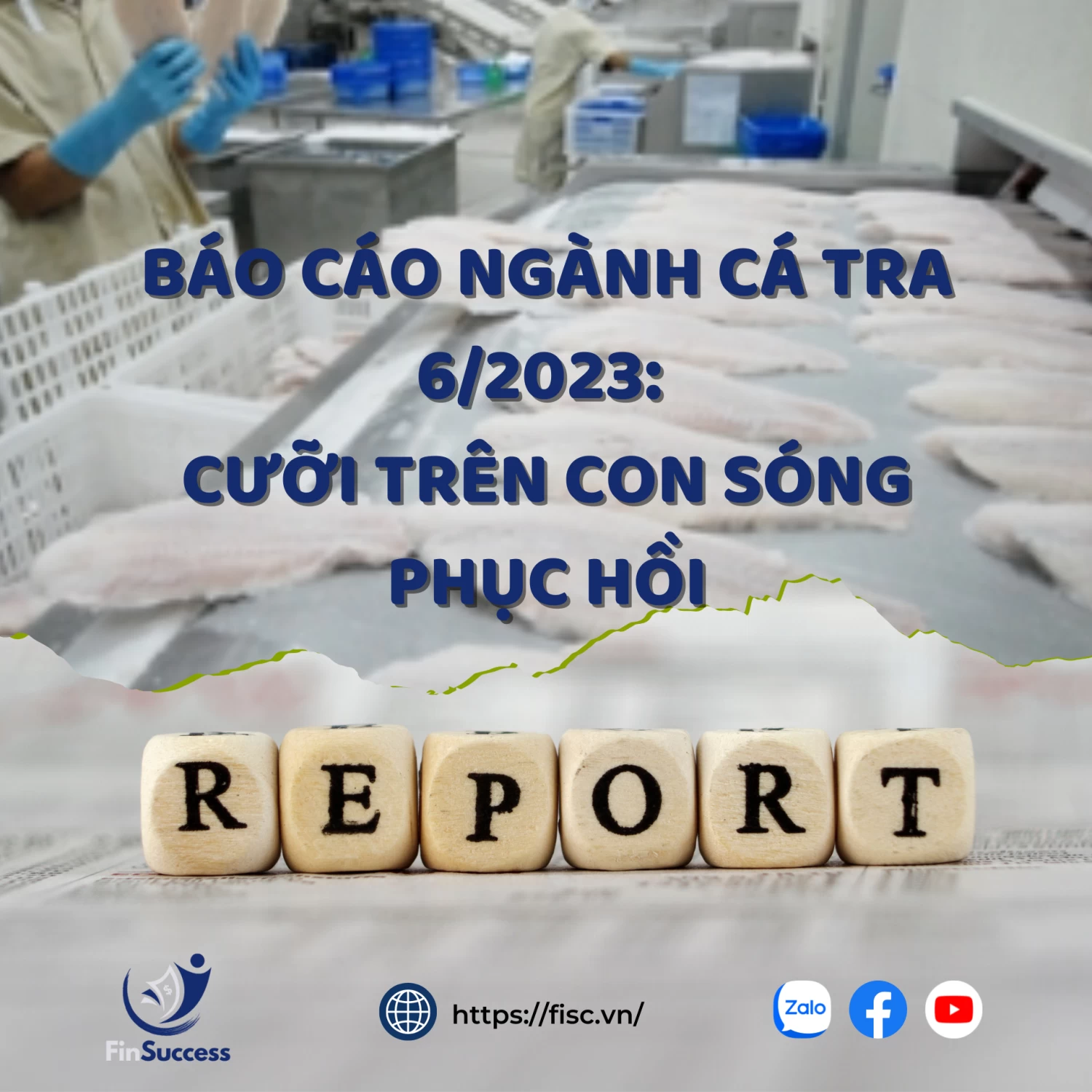 Báo cáo ngành cá tra tháng 06/2023 (VCBS): Cưỡi trên con sóng phục hồi