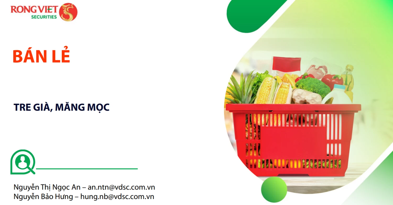 Báo cáo ngành bán lẻ (VDS): Tre già, măng mọc