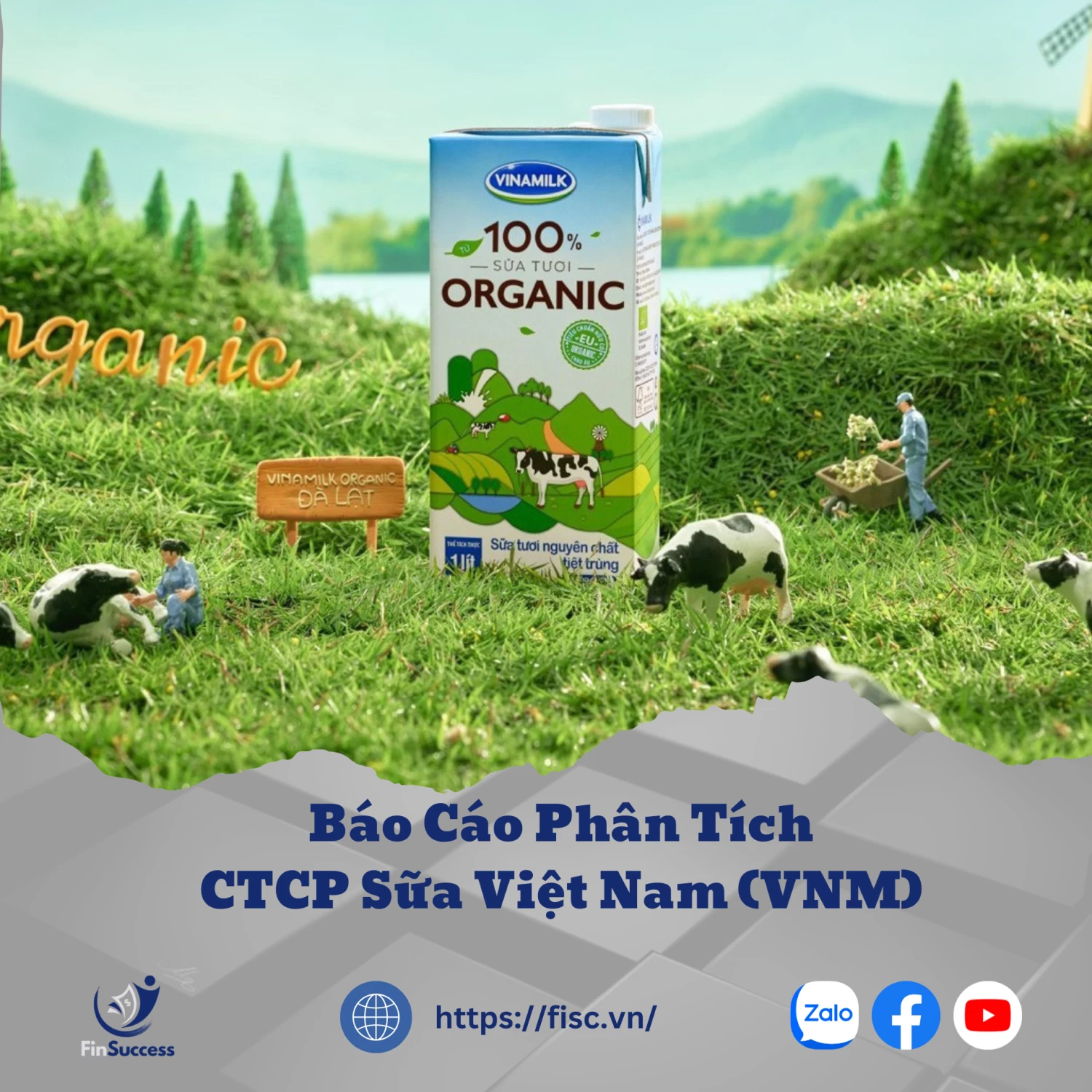 Điểm sáng từ biên lợi nhuận và thị phần mở rộng