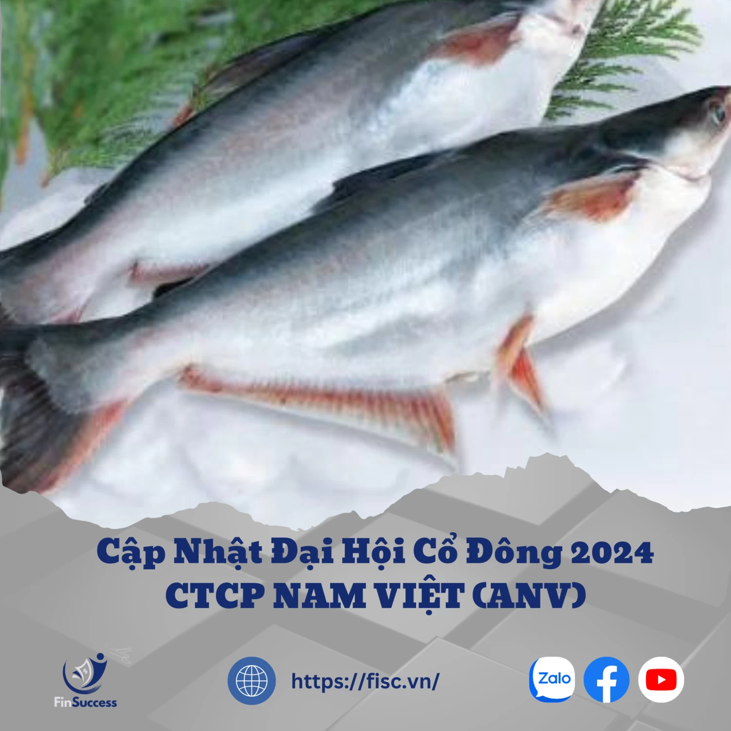 CẬP NHẬT ĐẠI HỘI CỔ ĐÔNG 2024-ANV