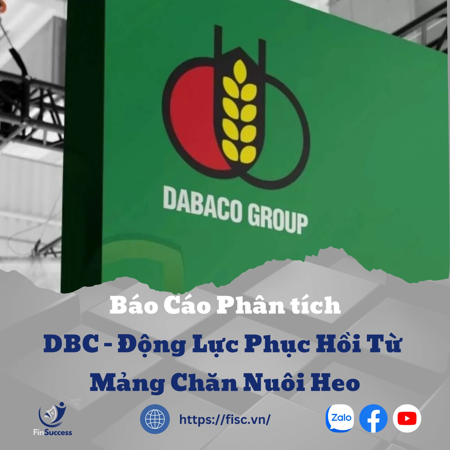 DBC: KHẢ QUAN với giá mục tiêu 41,700 đồng/cổ phiếu (MBS): Động lực phục hồi từ mảng chăn nuôi heo