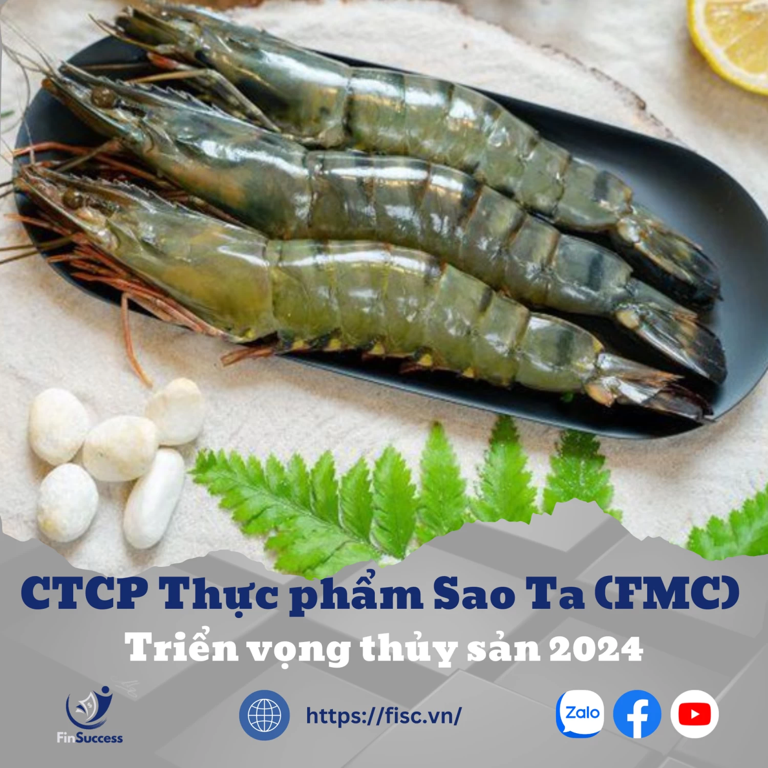 FMC (KHẢ QUAN, Giá mục tiêu: 55.500 Đồng): Cập nhật Ngành Thủy sản và KQKD nửa đầu năm 2024 của FMC