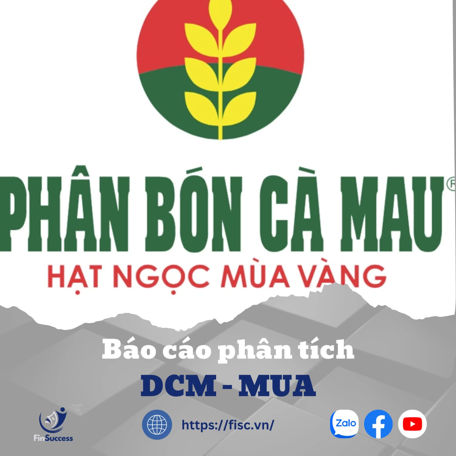 DCM khuyến nghị MUA với giá mục tiêu 42.989 đồng/cp.