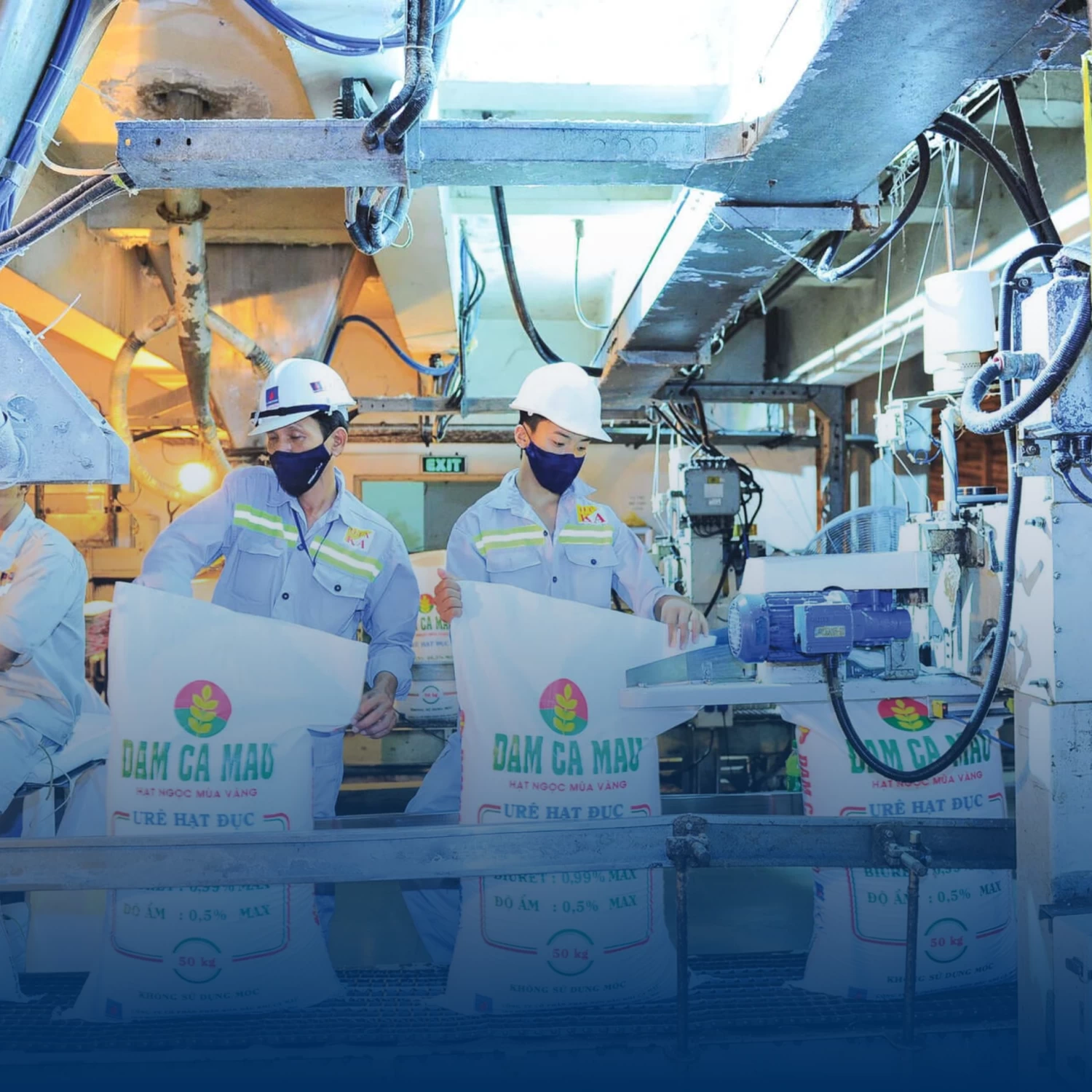 DCM: Triển vọng KHẢ QUAN với giá mục tiêu 39.900 đồng/cổ phiếu (ABS)