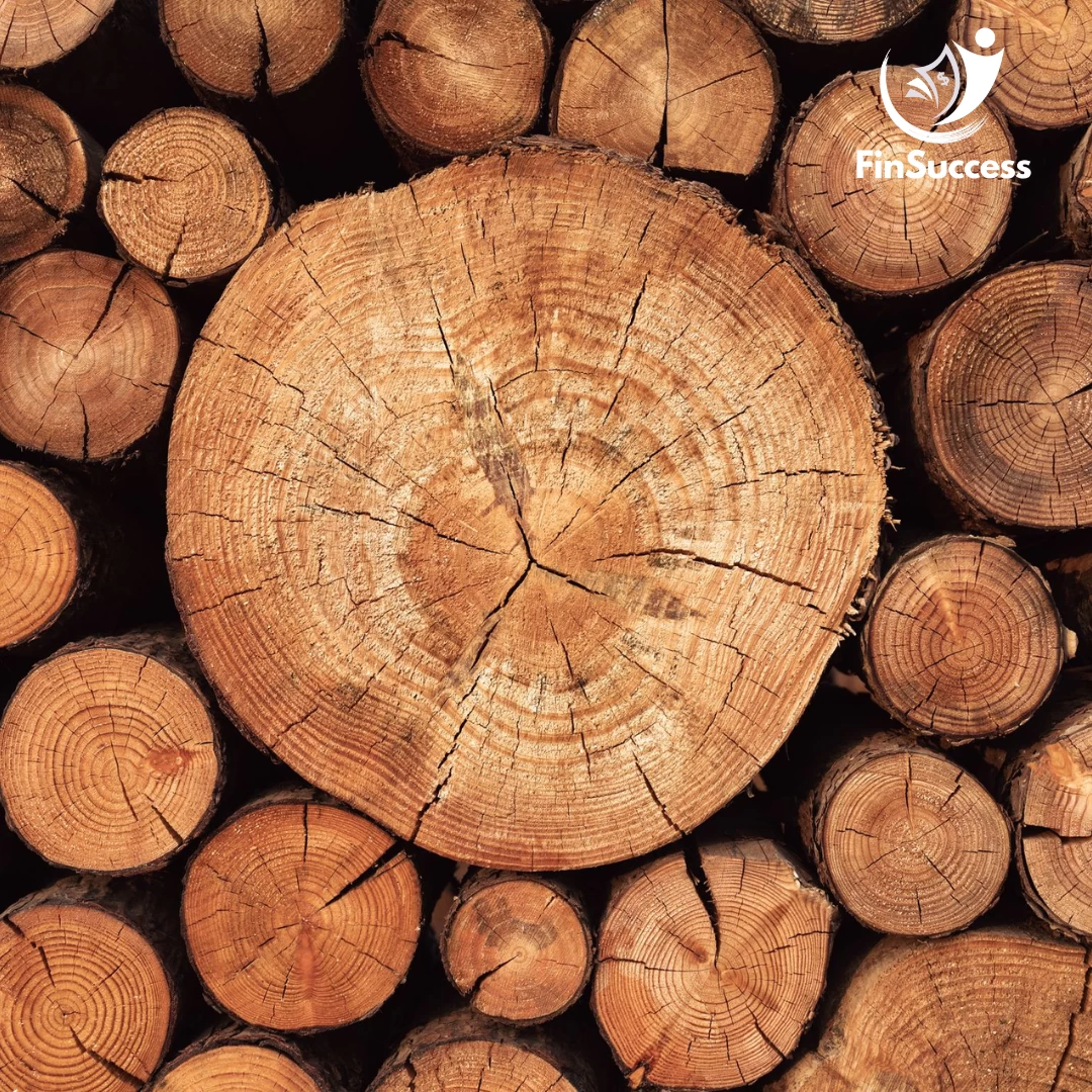 GDT - Gỗ Đức Thành Từ công ty gia đình vươn tầm quốc tế