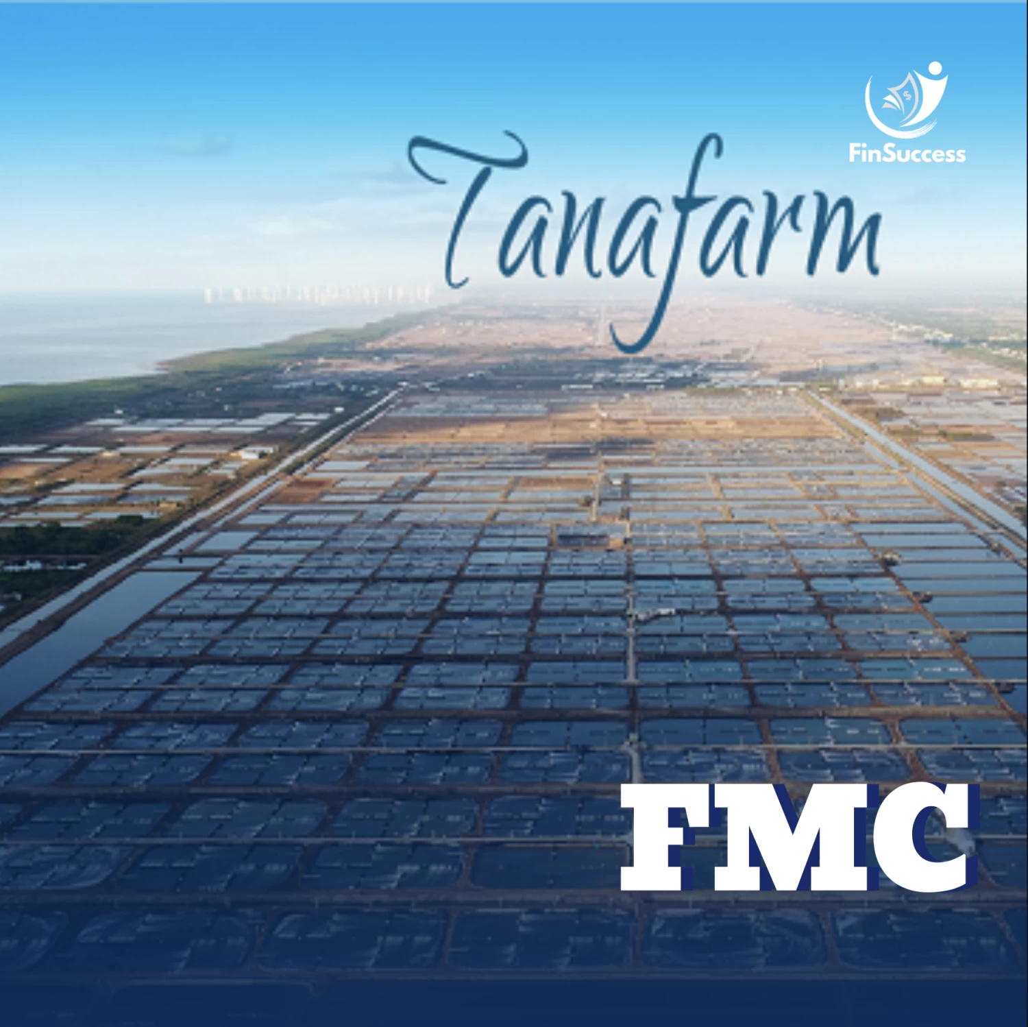 FMC Sao Ta: 'Tôm Tươi Lên Giá', Cổ Phiếu Lên Ngôi!