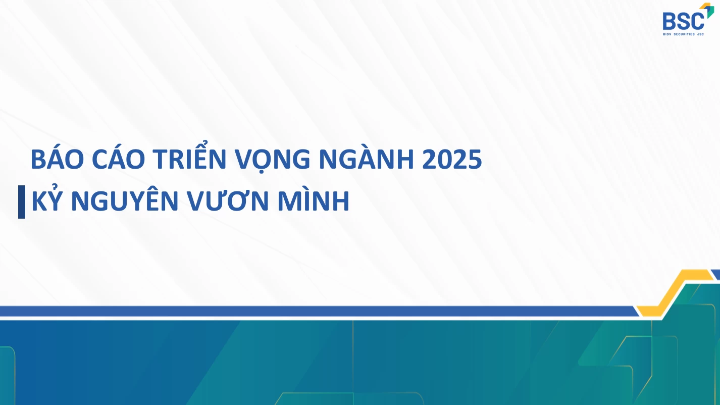 BSC - BÁO CÁO CHIẾN LƯỢC 2025: KỶ NGUYÊN VƯƠN MÌNH
