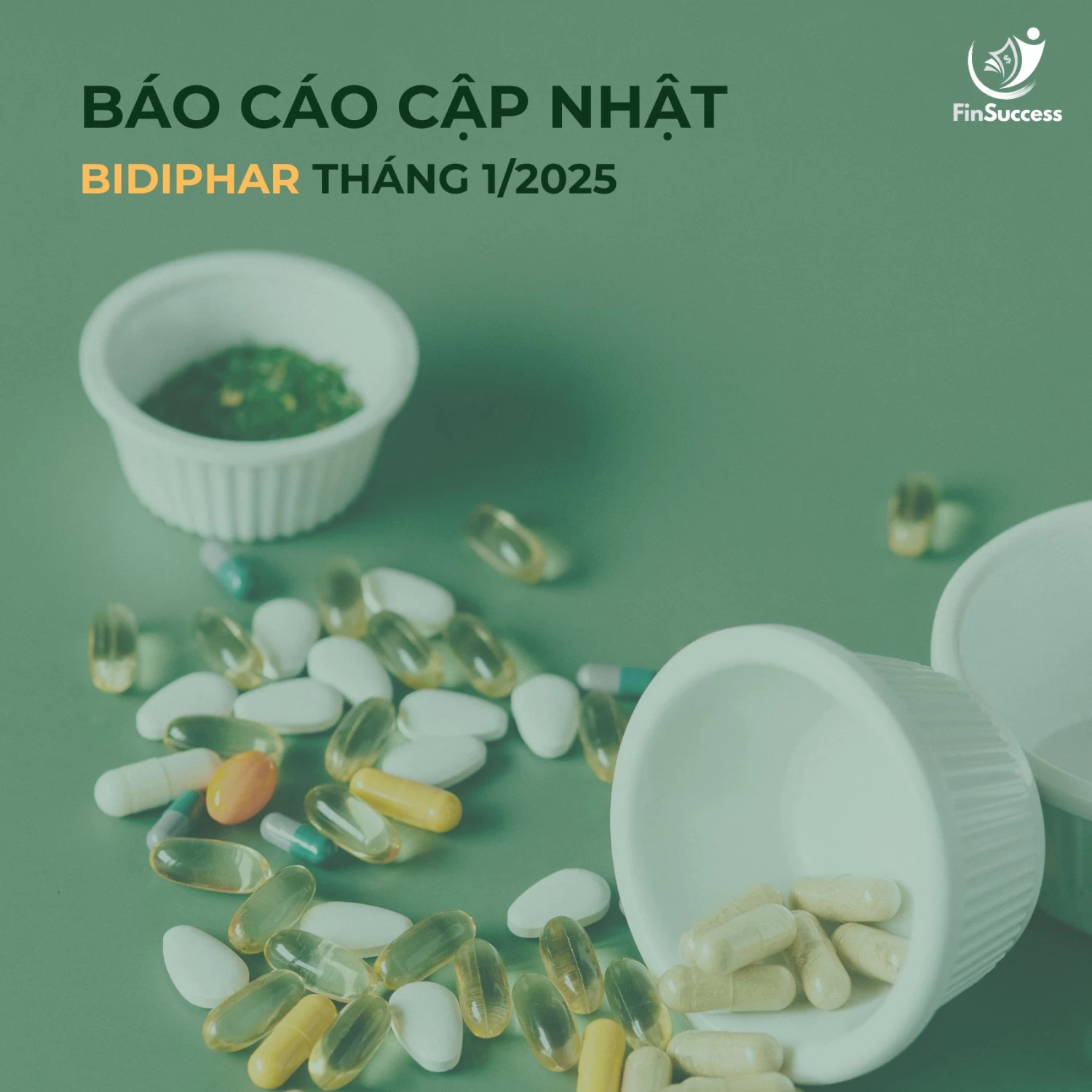 BÁO CÁO CẬP NHẬT BIDIPHAR 01/2025 [DBD]