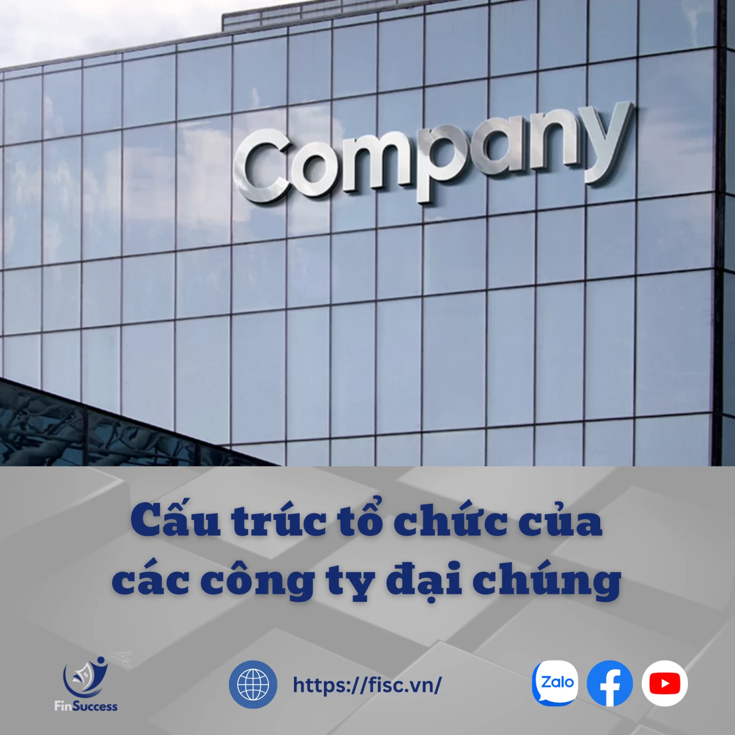 Cấu Trúc Tổ Chức Của Các Công Ty Đại Chúng
