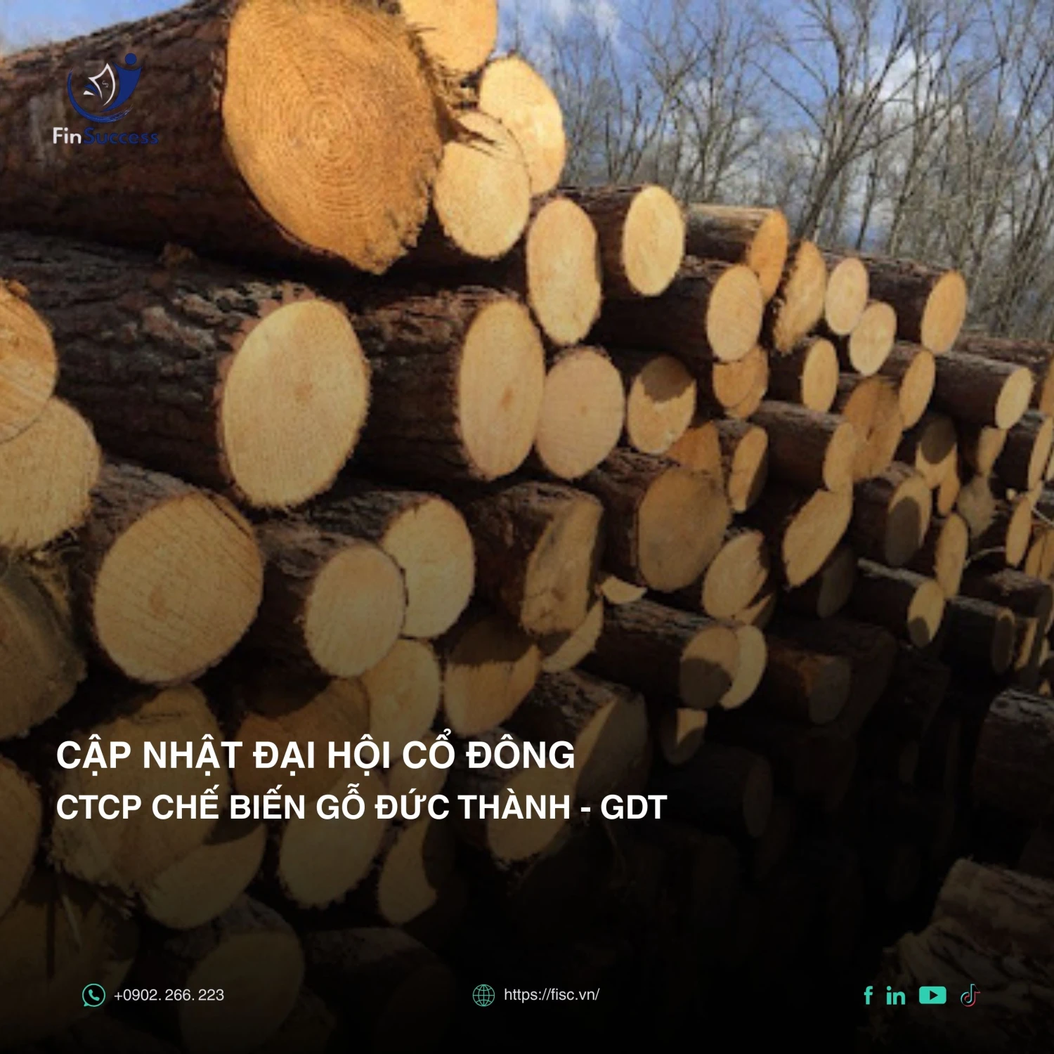 BÁO CÁO CẬP NHẬT ĐHCĐ GDT 2025