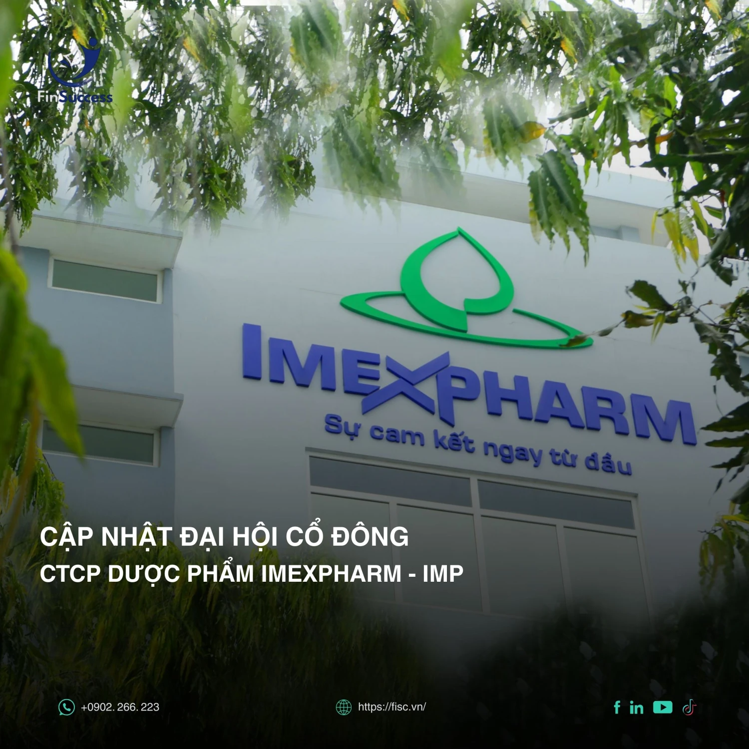 BÁO CÁO CẬP NHẬT ĐHCĐ IMP 2025