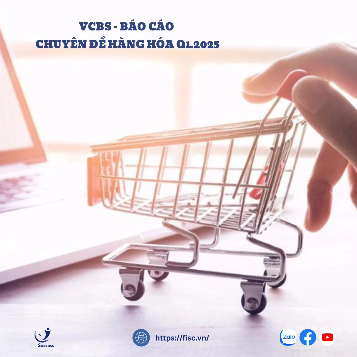 VCBS - Báo cáo chuyên đề hàng hóa Q1.2025