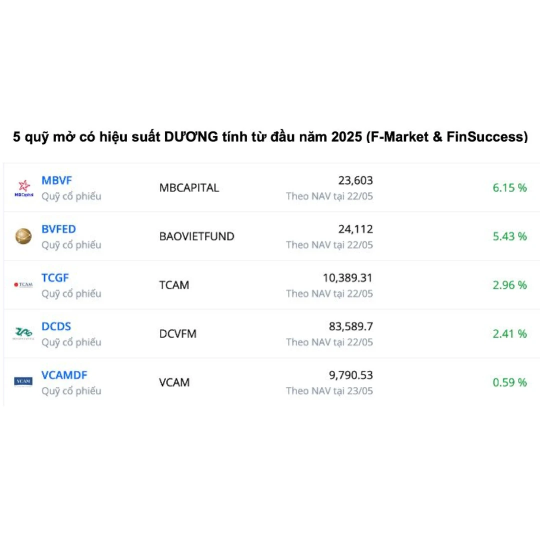 Nhìn Lại 5 Quỹ Mở Duy Nhất Có Hiệu Suất "Dương" Tính Từ Đầu Năm 2025