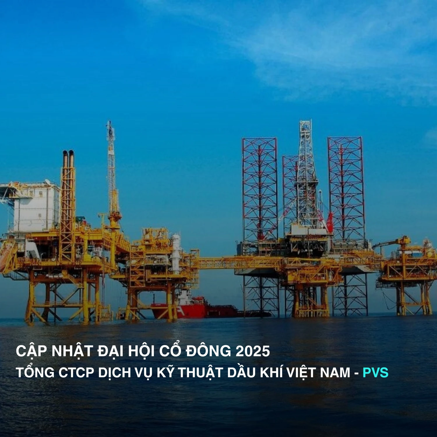CẬP NHẬT ĐHCĐ PVS 2025